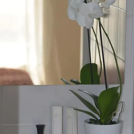 Centre 3* קובנה