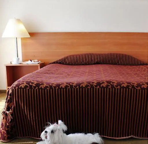 Ξενοδοχείο Centre Κάουνας