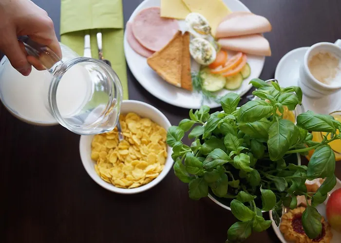 Centre Κάουνας